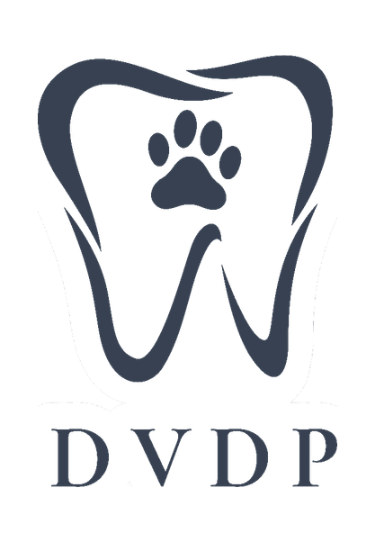 Delaware Veterinary Dental Practice